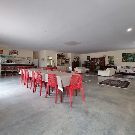 Dans Oliveraie Tres Beau 11 Pers Villa