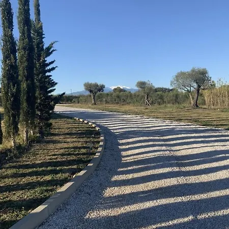 Dans Oliveraie Tres Beau 11 Pers *