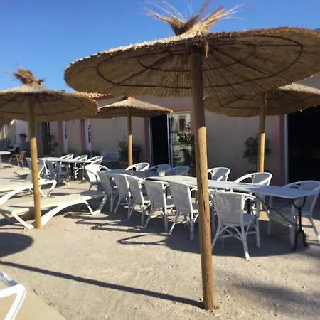 Villa Dans Oliveraie Tres Beau 11 Pers *