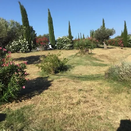 Dans Oliveraie Tres Beau 11 Pers Willa Perpignan