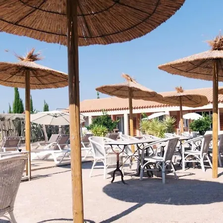 Dans Oliveraie Tres Beau 11 Pers * Perpignan