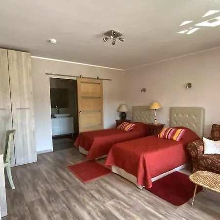 Willa Dans Oliveraie Tres Beau 11 Pers