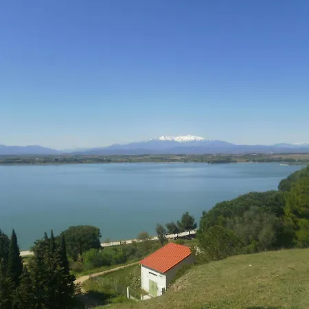 Dans Oliveraie Tres Beau 11 Pers