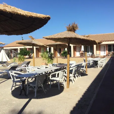 Willa Dans Oliveraie Tres Beau 11 Pers